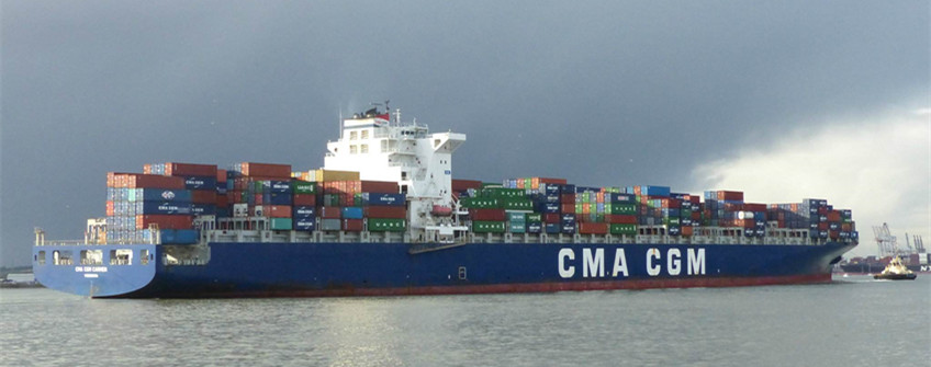 寵物糧清關：貓狗糧進口報關的相關問題。