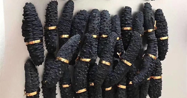 水產品報關：干海參進口清關流程手續